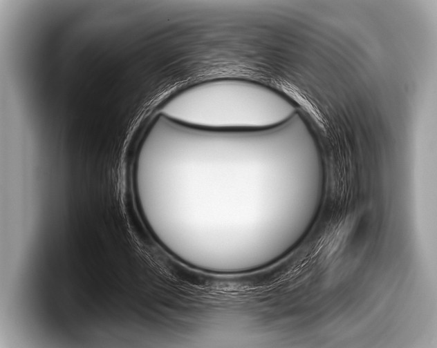 X0000099230486200804241232