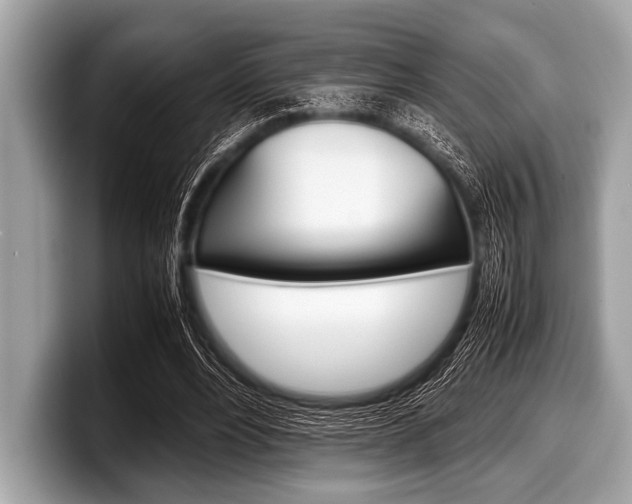 X0000099230488200804241232