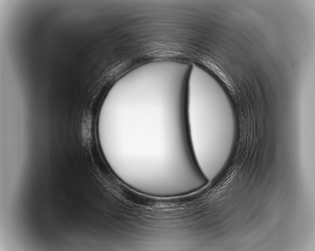 X0000099230490200804241232