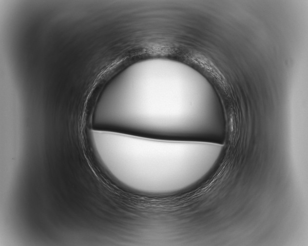 X0000099230492200804241232