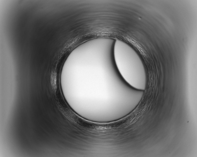 X0000099230494200804241232