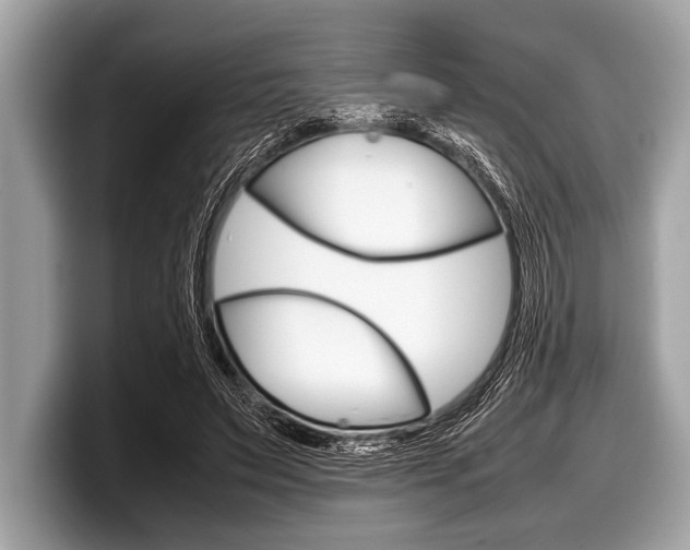 X0000099230495200804241232