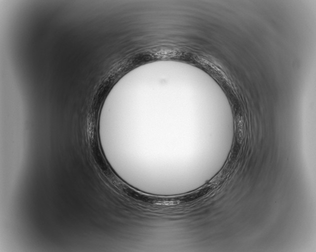 X0000099230499200804241232