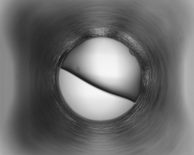 X0000099230500200804241232
