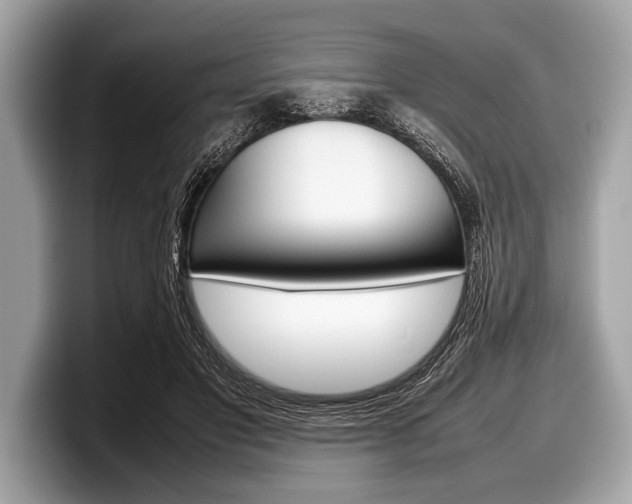X0000099230501200804241232