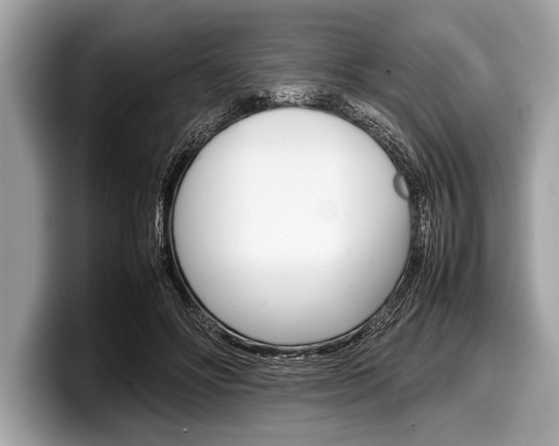 X0000099230502200804241232