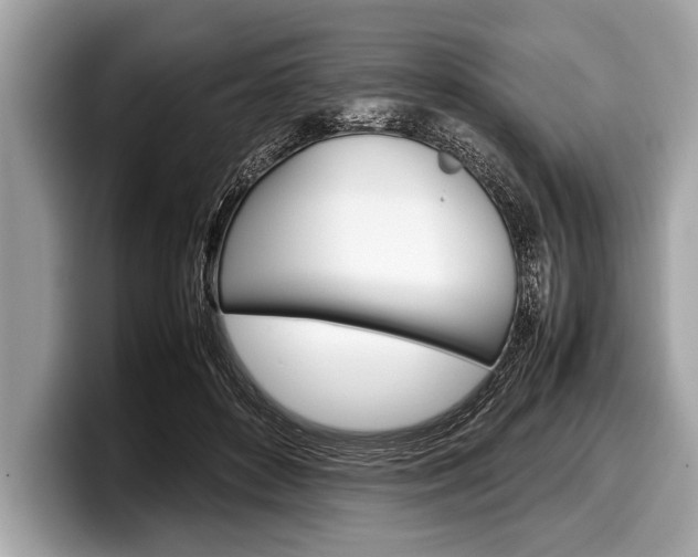 X0000099230504200804241232