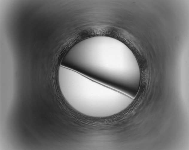 X0000099230505200804241232