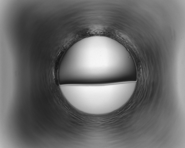 X0000099230508200804241232