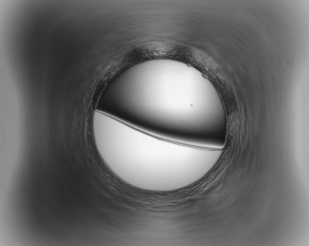X0000099230509200804241232