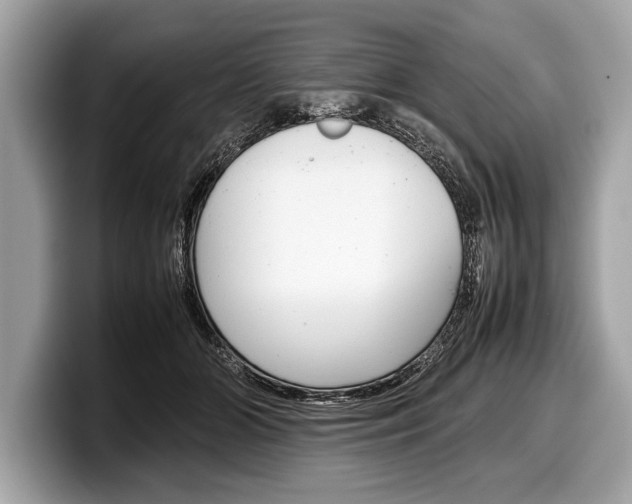X0000099230510200804241232