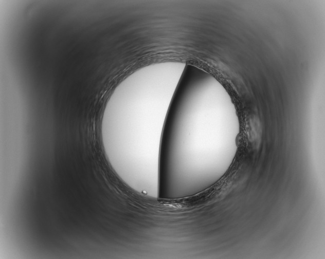 X0000099230512200804241232