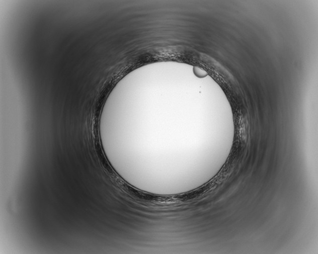 X0000099230514200804241232