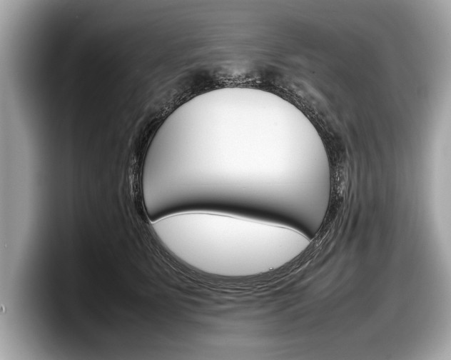 X0000099230515200804241232