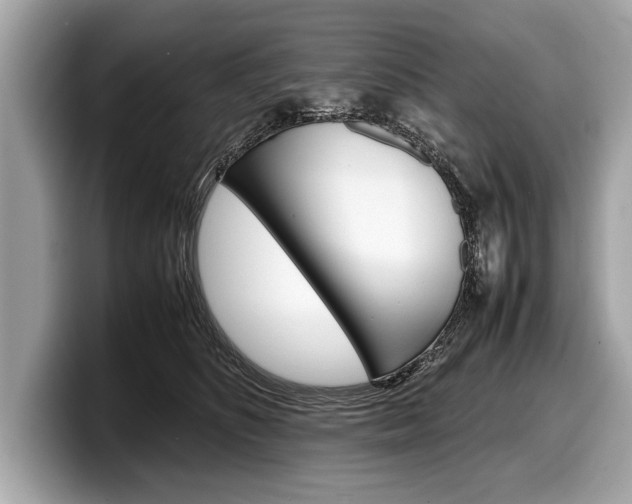 X0000099230516200804241232