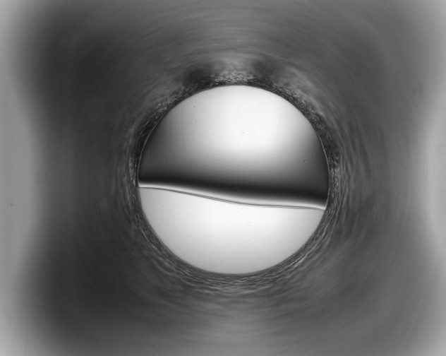 X0000099230517200804241232
