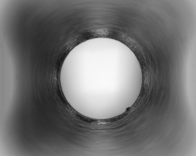 X0000099230518200804241232