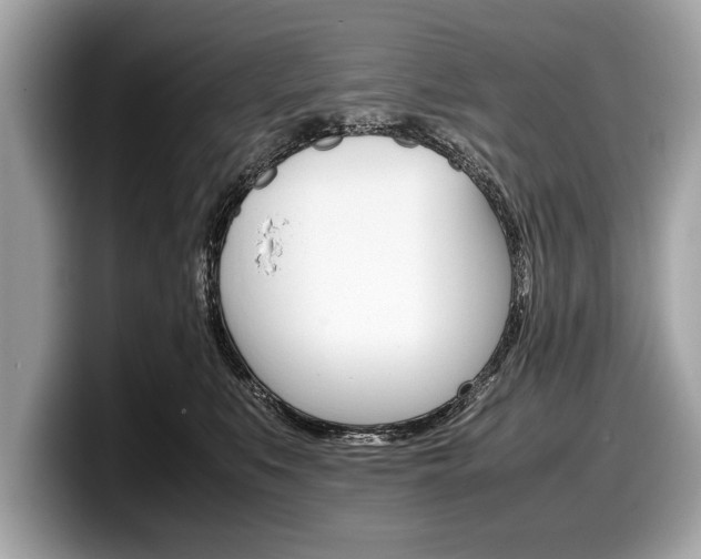 X0000099230519200804241232