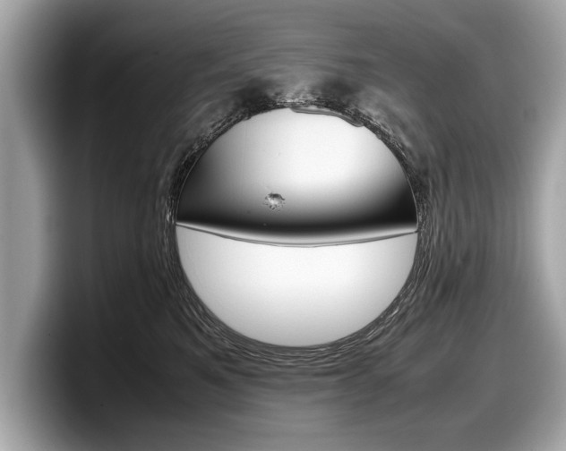X0000099230521200804241232