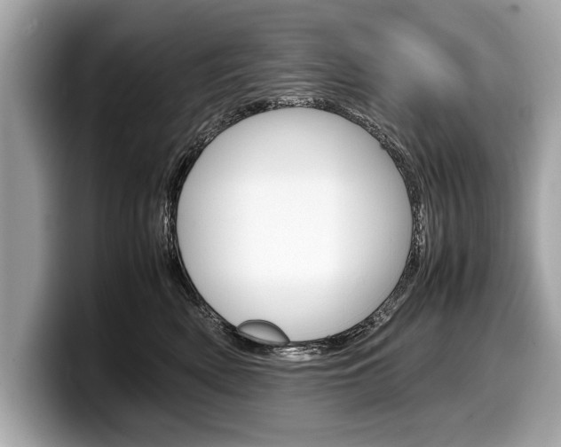 X0000099230522200804241232