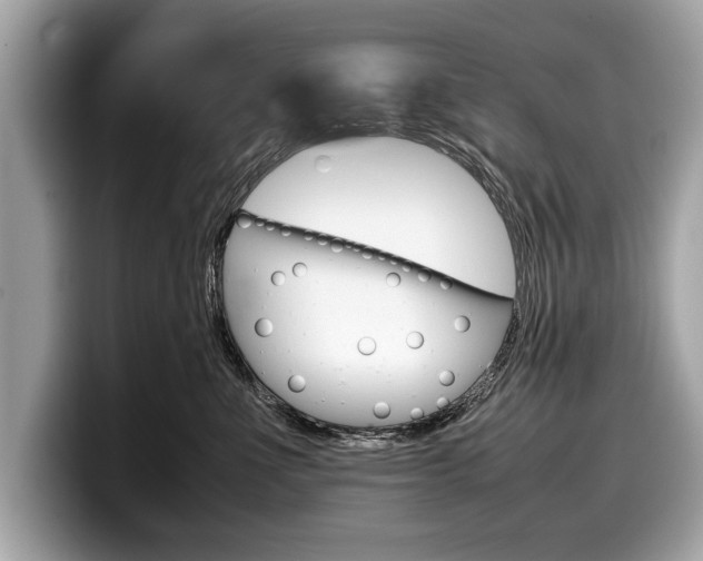X0000099230523200804241232