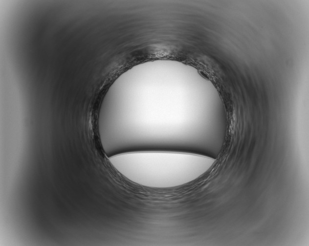 X0000099230524200804241232