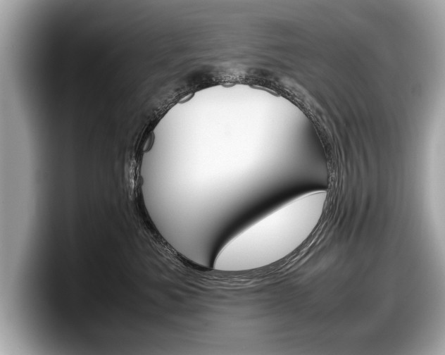 X0000099230525200804241232
