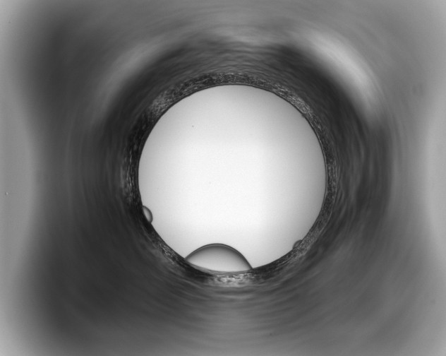 X0000099230526200804241232