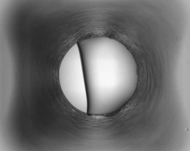 X0000099230528200804241232