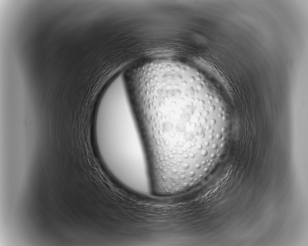 X0000099230529200804241231