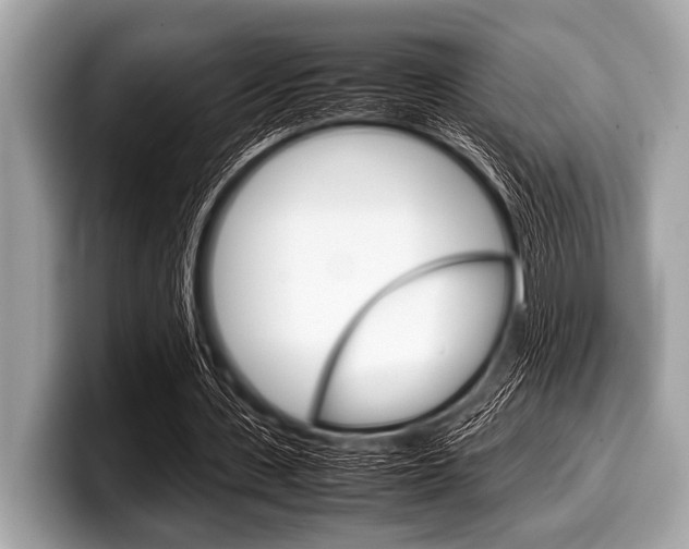 X0000099230531200804241231