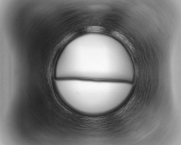 X0000099230533200804241231