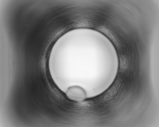 X0000099230534200804241231
