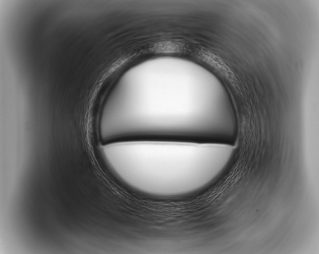 X0000099230535200804241231