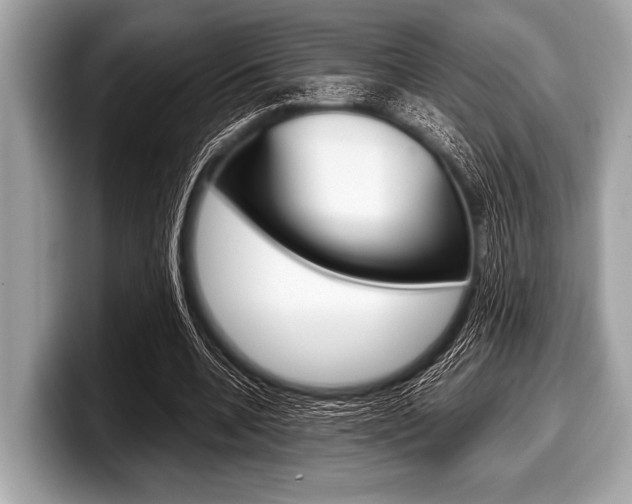 X0000099230536200804241231