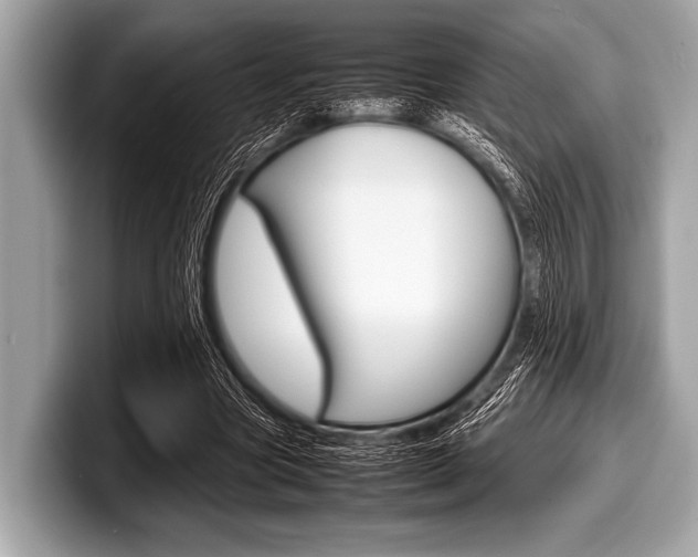 X0000099230537200804241231