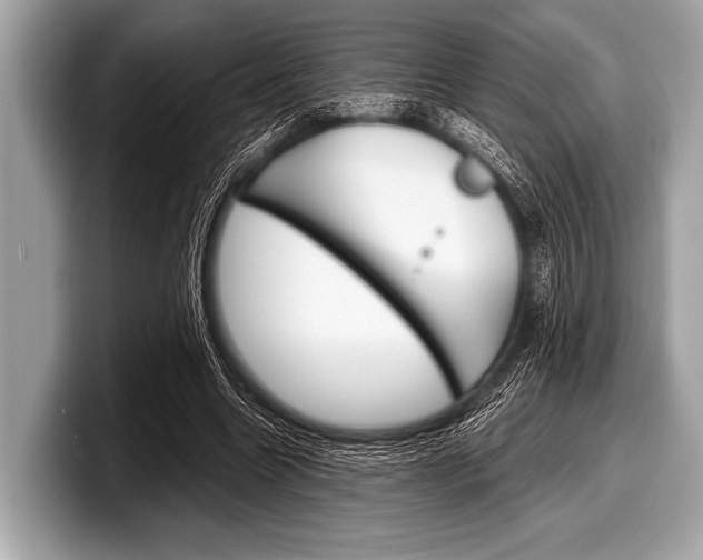 X0000099230538200804241231