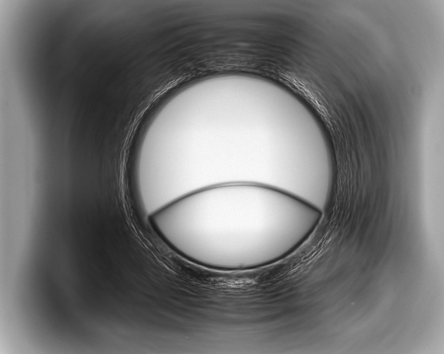 X0000099230539200804241231