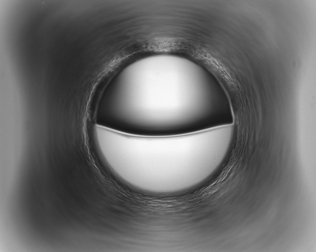 X0000099230540200804241231