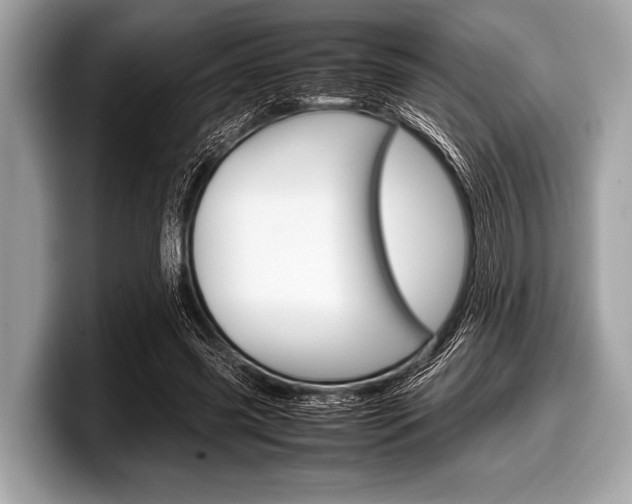 X0000099230541200804241231