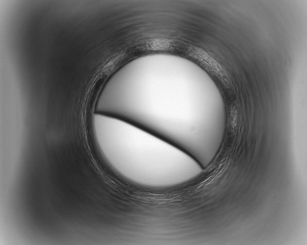 X0000099230542200804241231