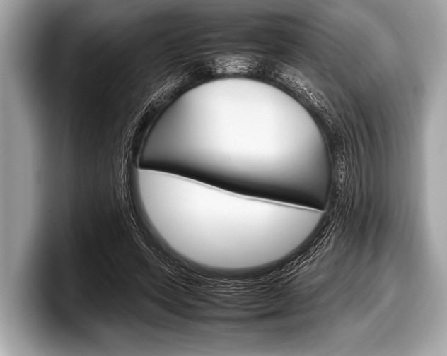 X0000099230543200804241231