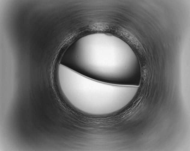 X0000099230544200804241231