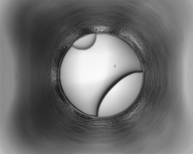X0000099230545200804241231