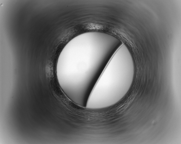 X0000099230547200804241231