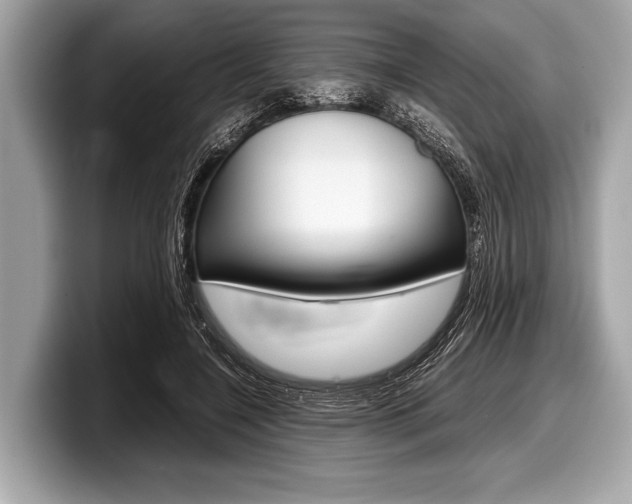 X0000099230548200804241231