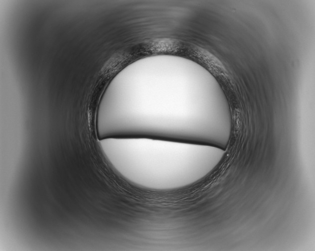 X0000099230550200804241231