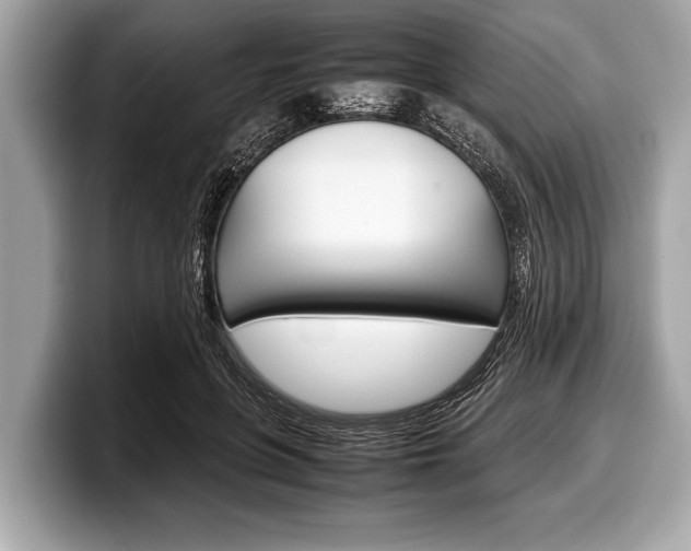 X0000099230551200804241231