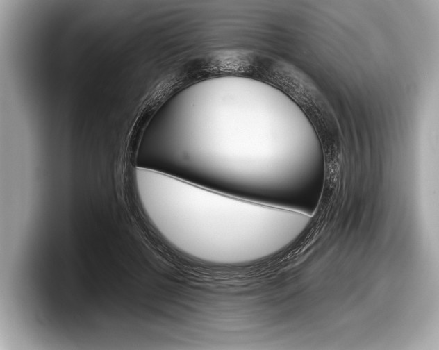 X0000099230552200804241231