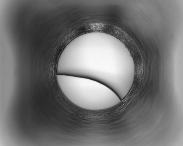 X0000099230553200804241231